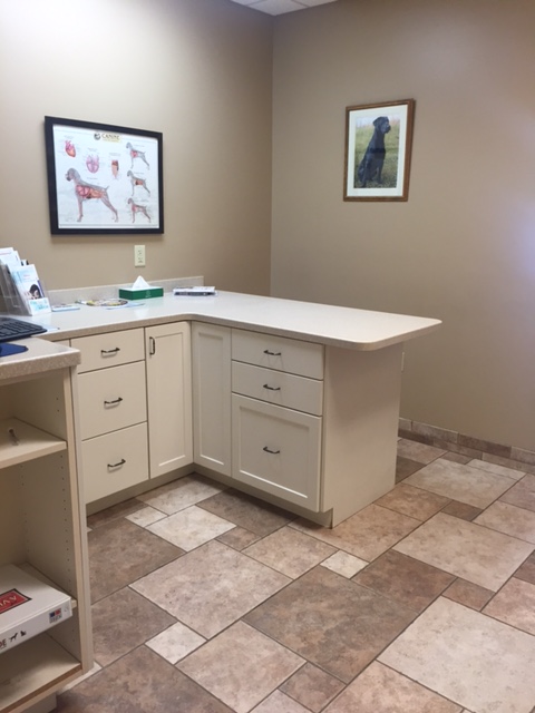 Exam Room at animal care center