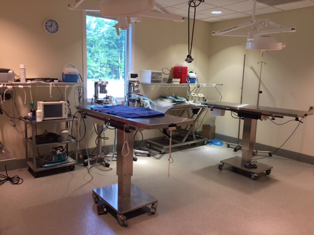 Surgery Room at animal care center