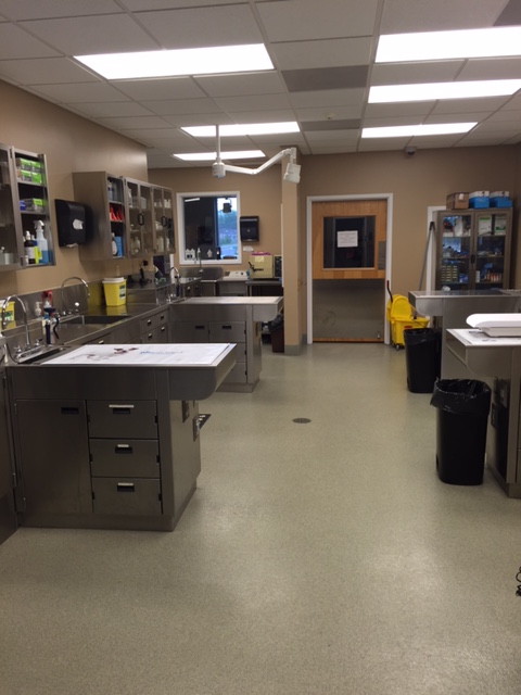 animal care center tech area